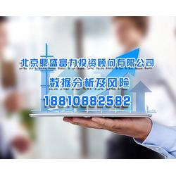 北京鼎盛投資顧問公司企業(yè)項(xiàng)目數(shù)據(jù)分析與風(fēng)險(xiǎn)控制策略報(bào)告